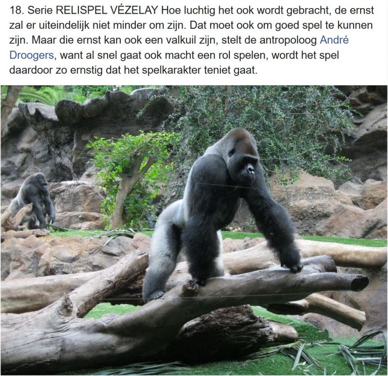 Flirten op het werk spel
